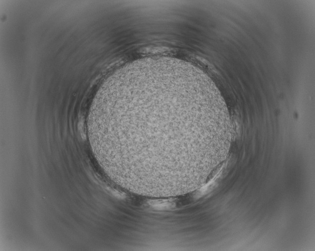 X0000067870187200605111809