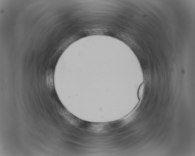 X0000067870190200605111809