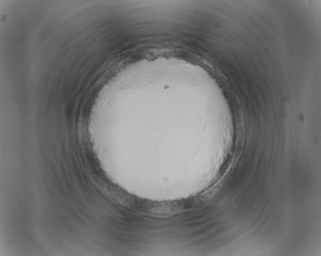 X0000067870191200605111809