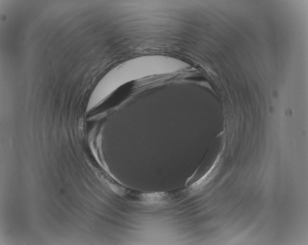 X0000067870192200605111809