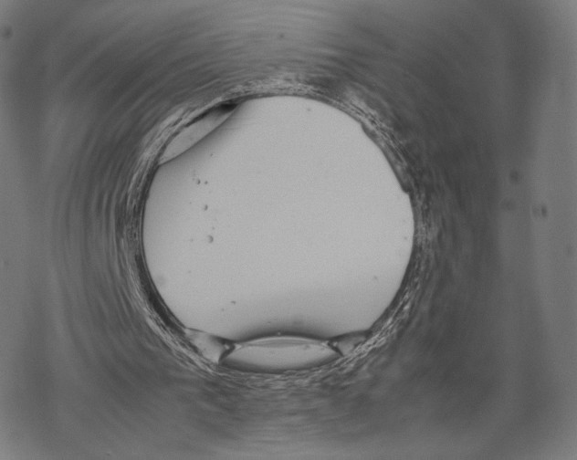 X0000067870193200605111808