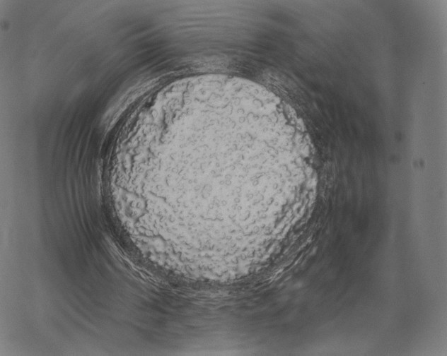 X0000067870194200605111808