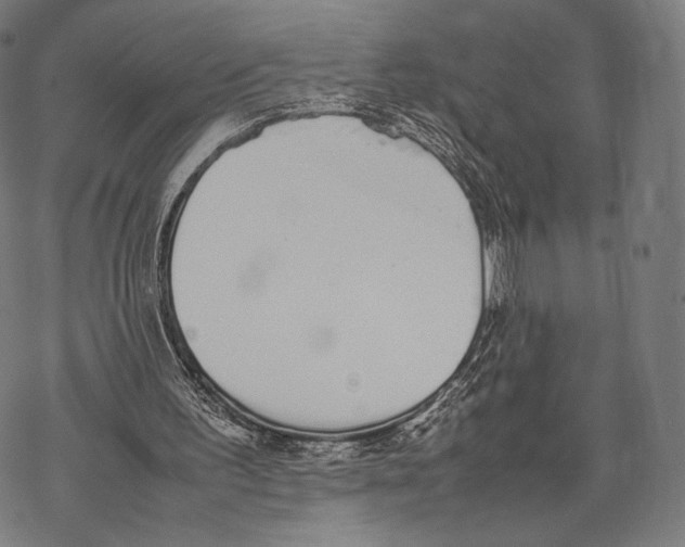 X0000067870195200605111808