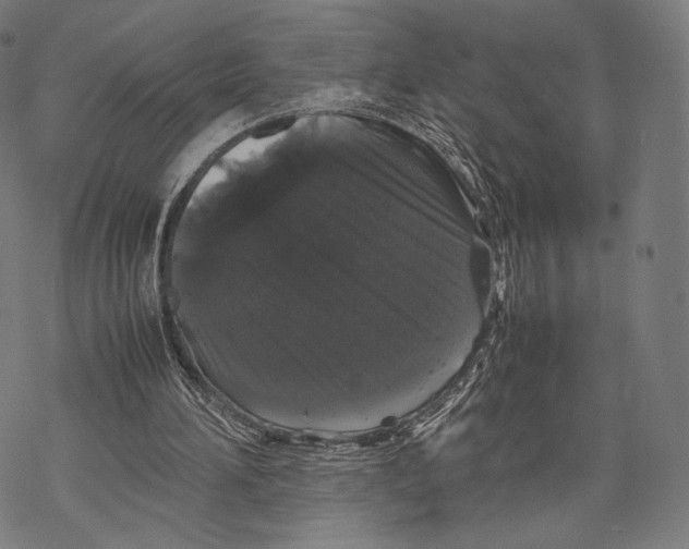 X0000067870196200605111808