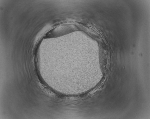 X0000067870197200605111808