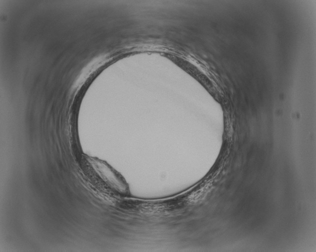 X0000067870199200605111808