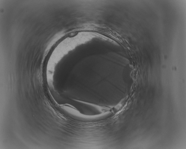 X0000067870200200605111808