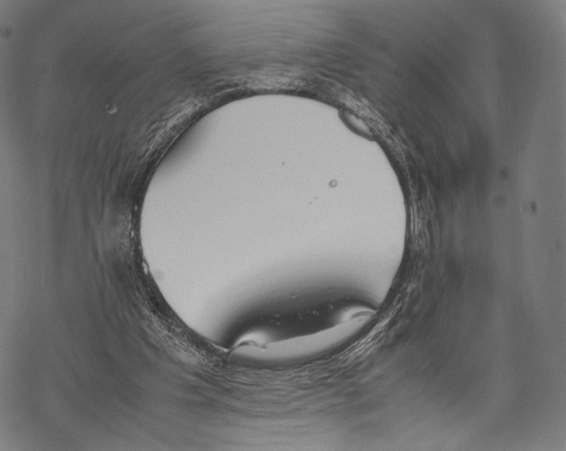 X0000067870201200605111808