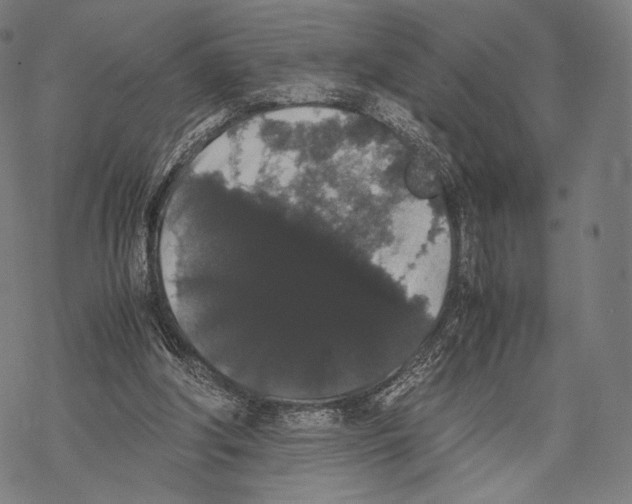 X0000067870202200605111808