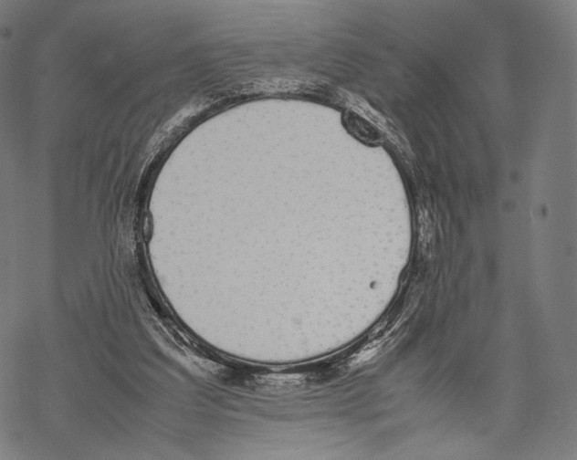 X0000067870203200605111808