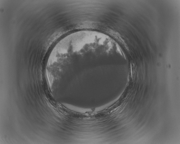 X0000067870204200605111808