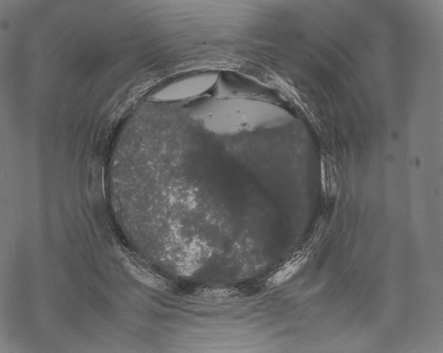 X0000067870205200605111808