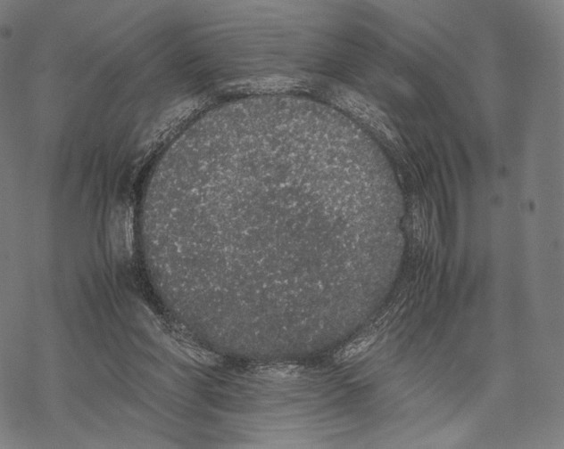 X0000067870206200605111808