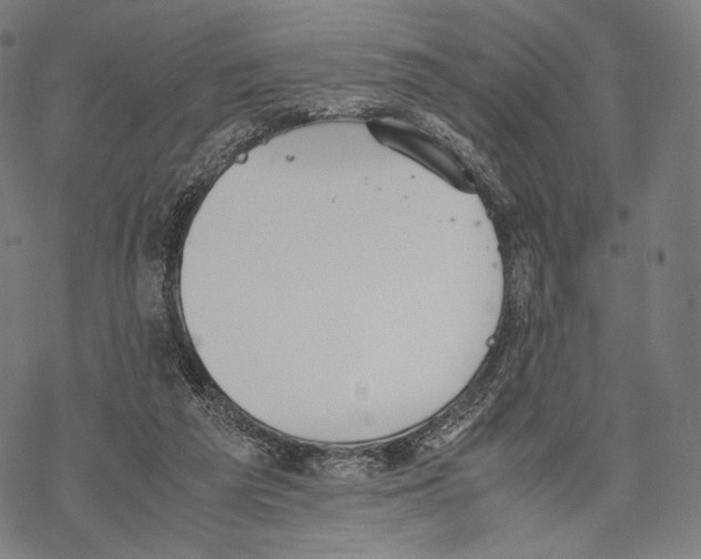 X0000067870209200605111808