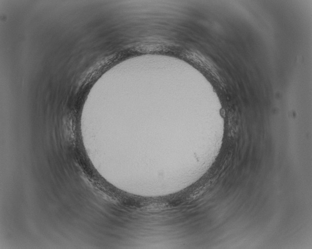 X0000067870210200605111808