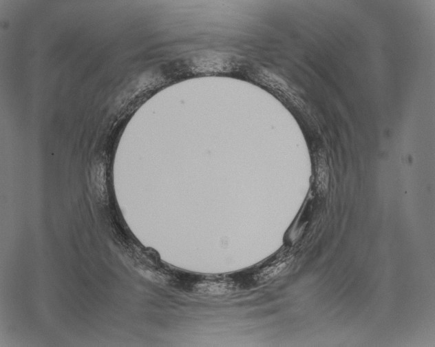 X0000067870211200605111808