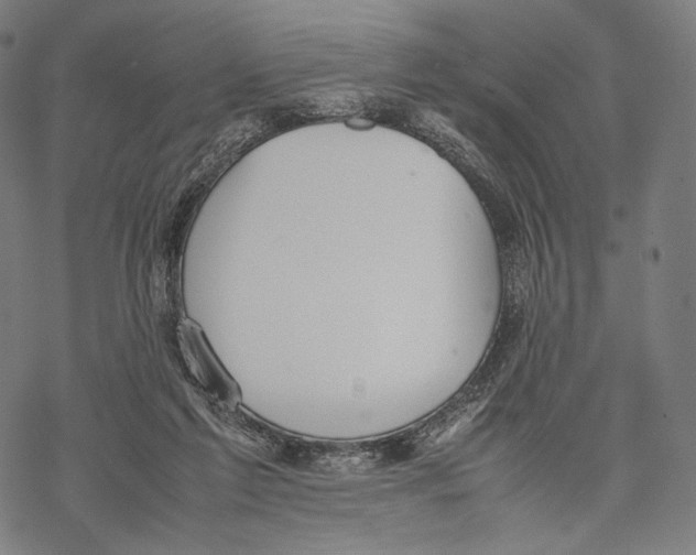 X0000067870213200605111808