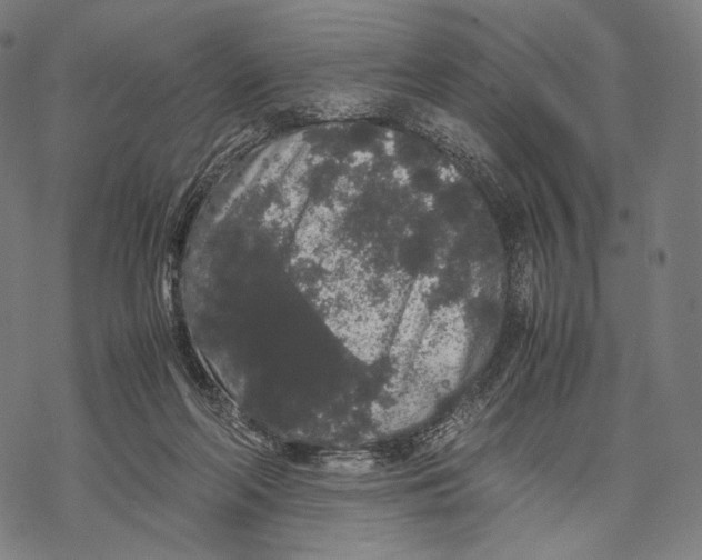 X0000067870214200605111808