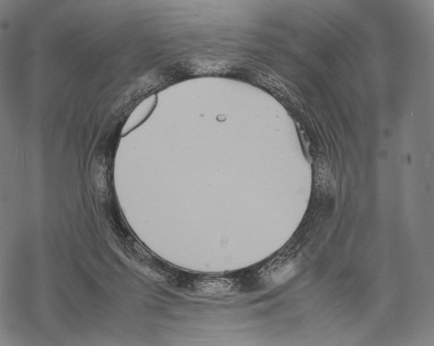 X0000067870215200605111808