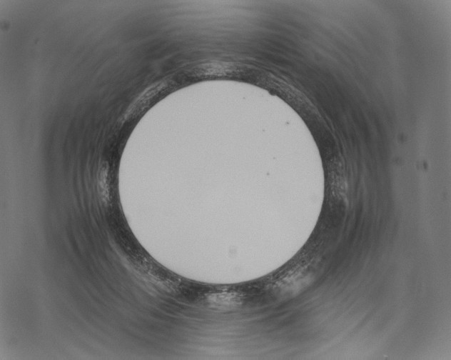 X0000067870216200605111808