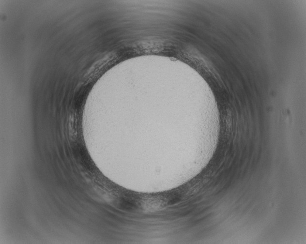 X0000067870218200605111808