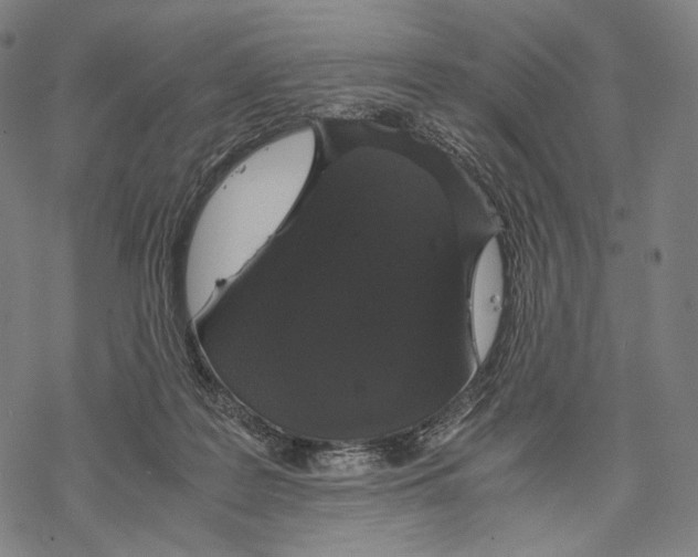 X0000067870219200605111808