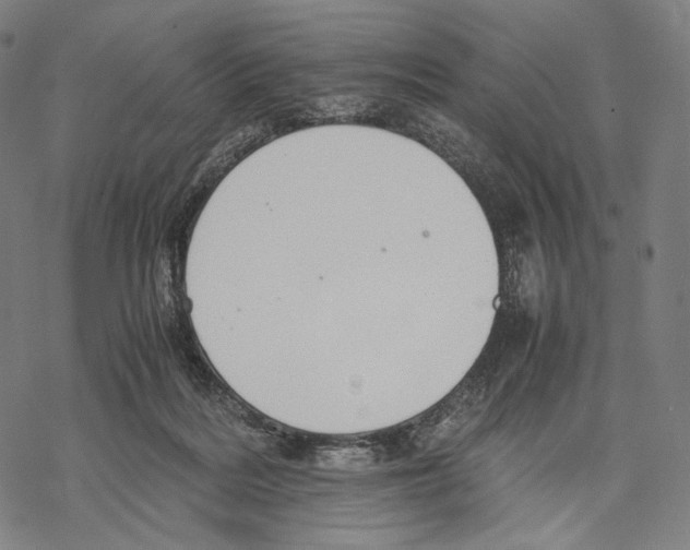 X0000067870220200605111808