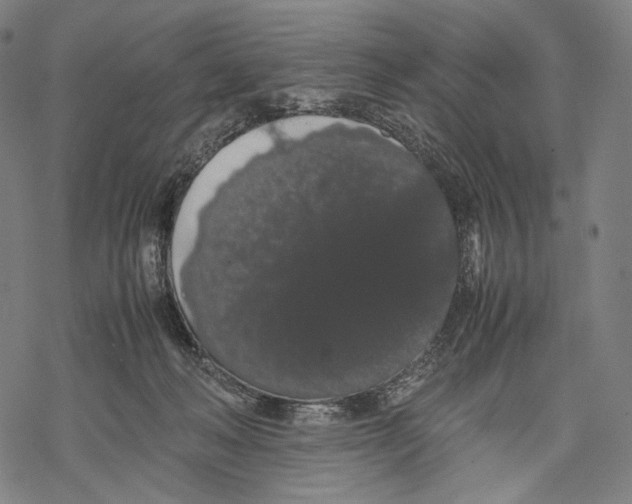 X0000067870222200605111808