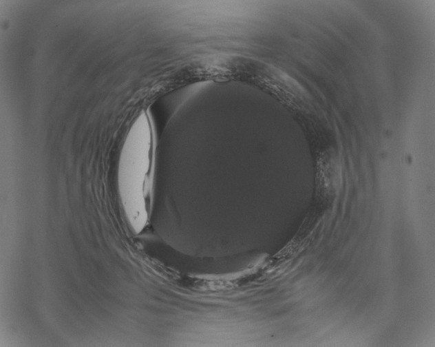 X0000067870223200605111808