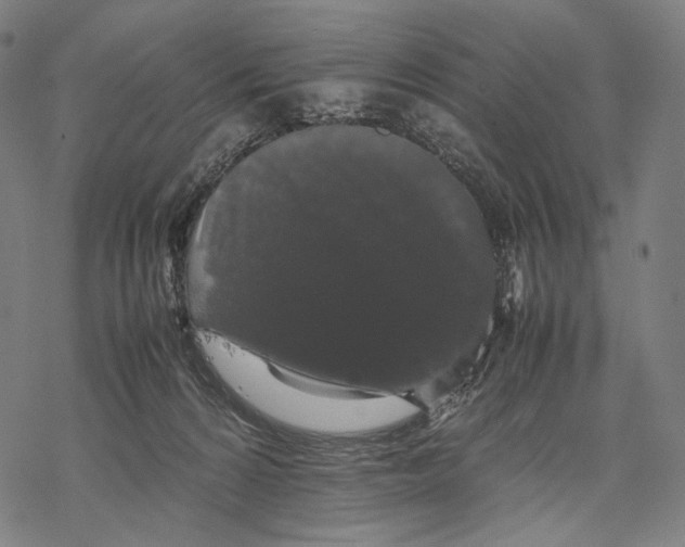 X0000067870224200605111808