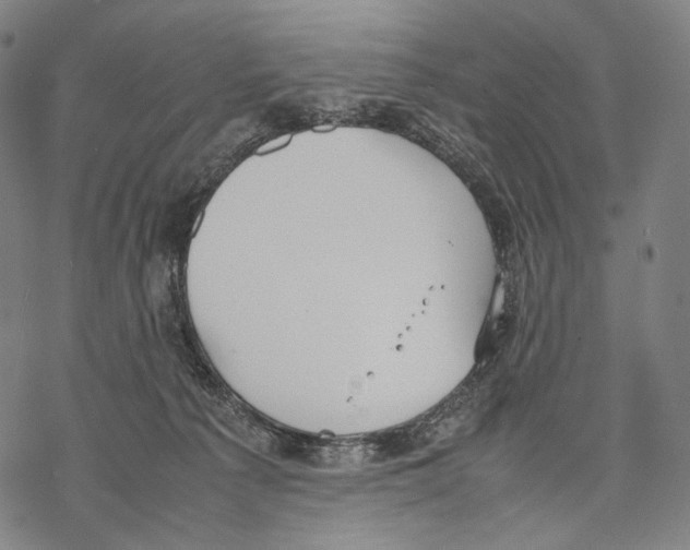 X0000067870225200605111807