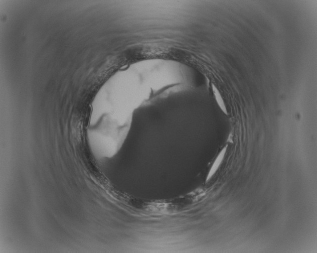 X0000067870227200605111807