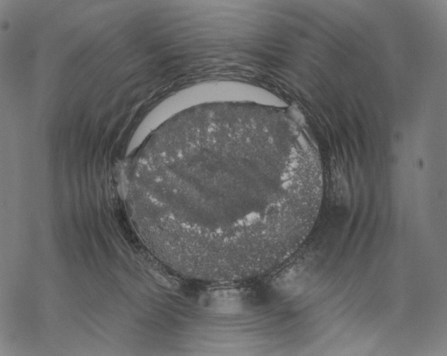 X0000067870228200605111807