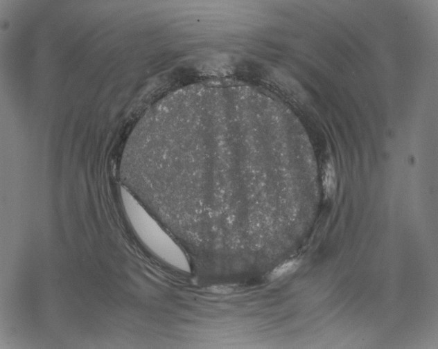 X0000067870229200605111807