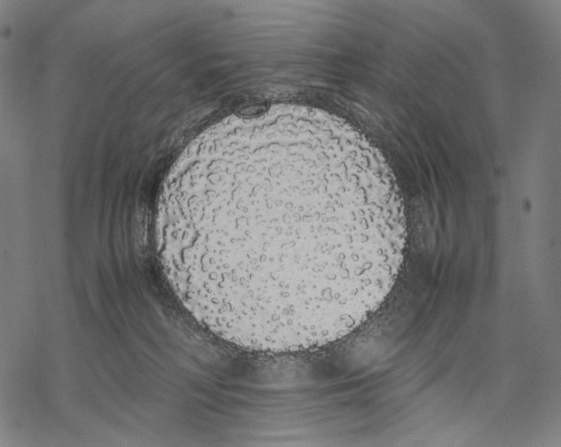 X0000067870230200605111807