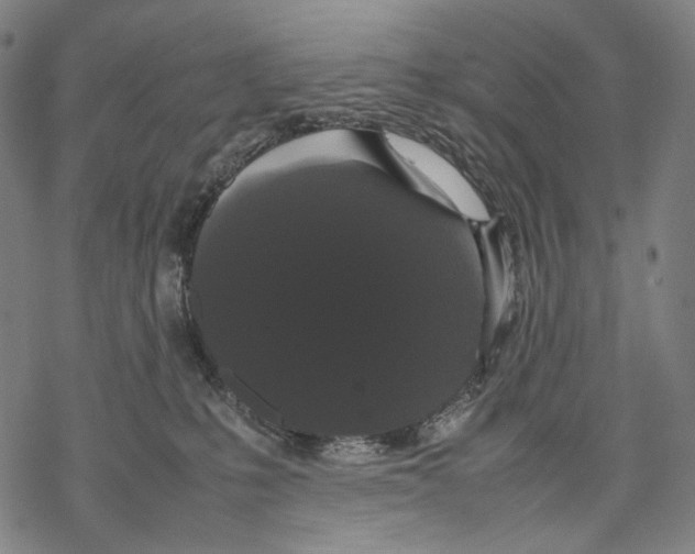 X0000067870231200605111807