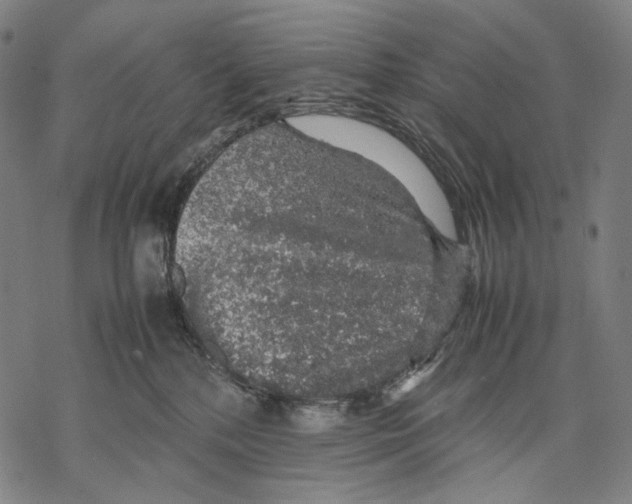 X0000067870232200605111807