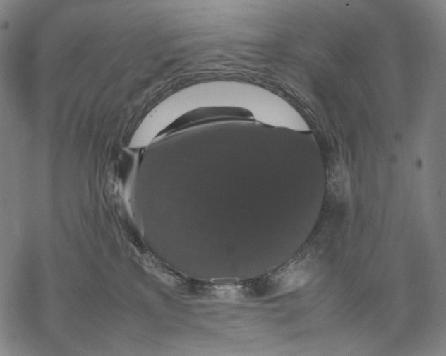 X0000067870233200605111807