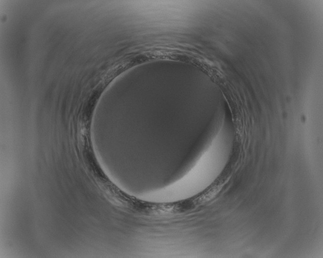 X0000067870235200605111807