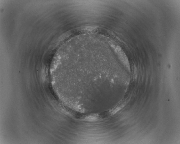 X0000067870236200605111807