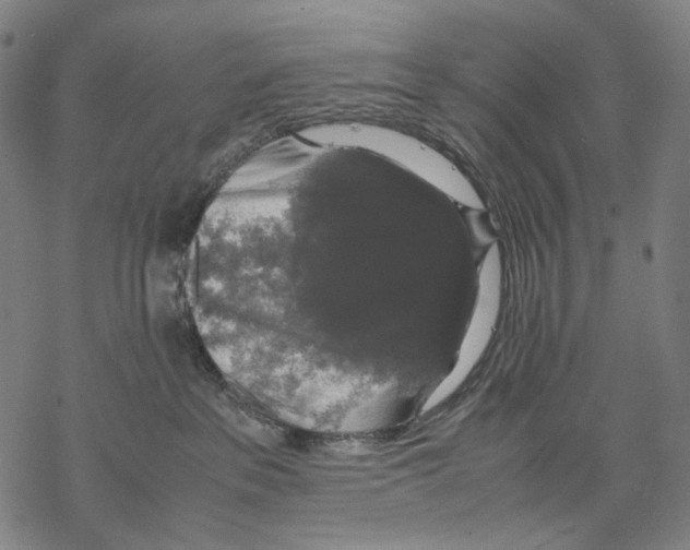 X0000067870237200605111807