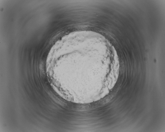 X0000067870238200605111807