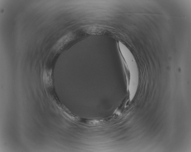 X0000067870239200605111807