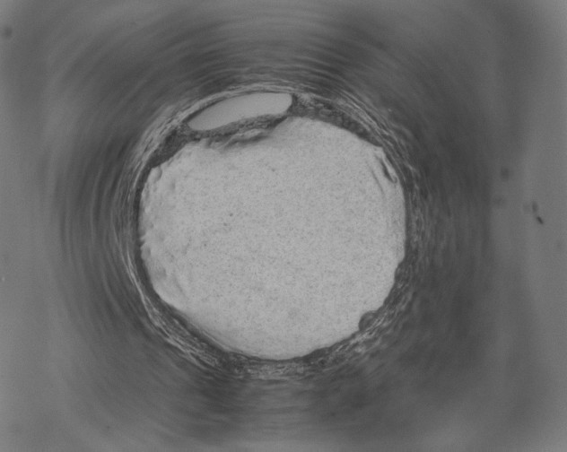 X0000067870241200605111806