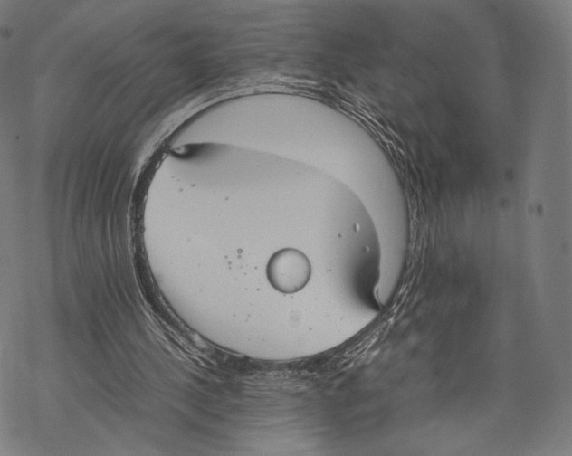 X0000067870244200605111807