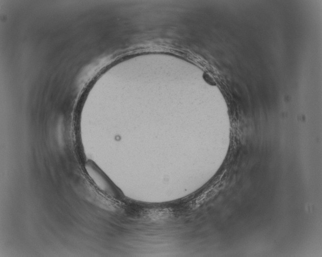 X0000067870248200605111807