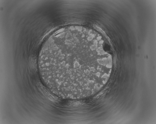 X0000067870249200605111807