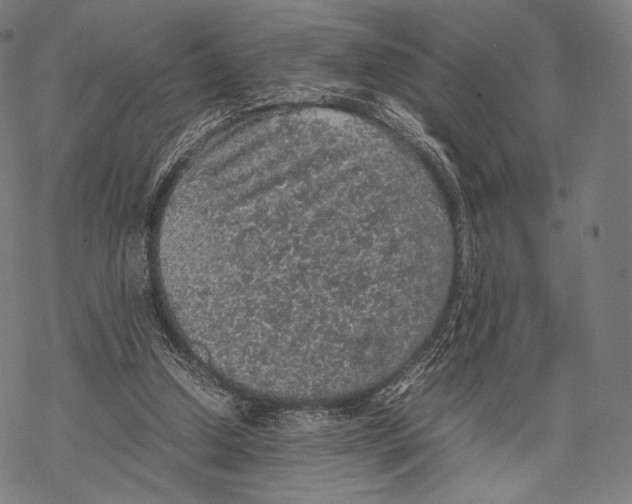 X0000067870250200605111807