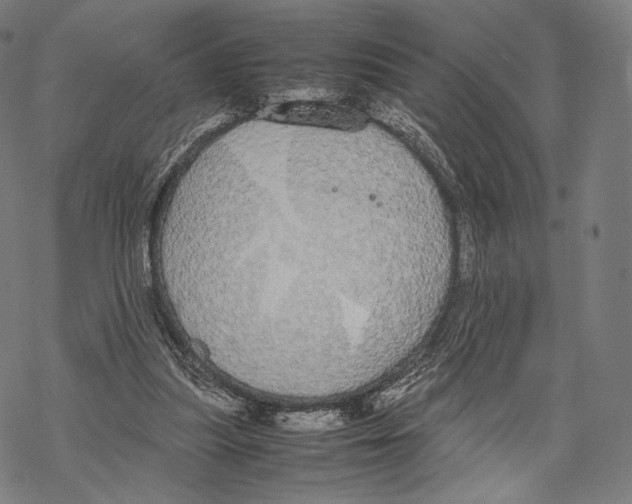 X0000067870251200605111807