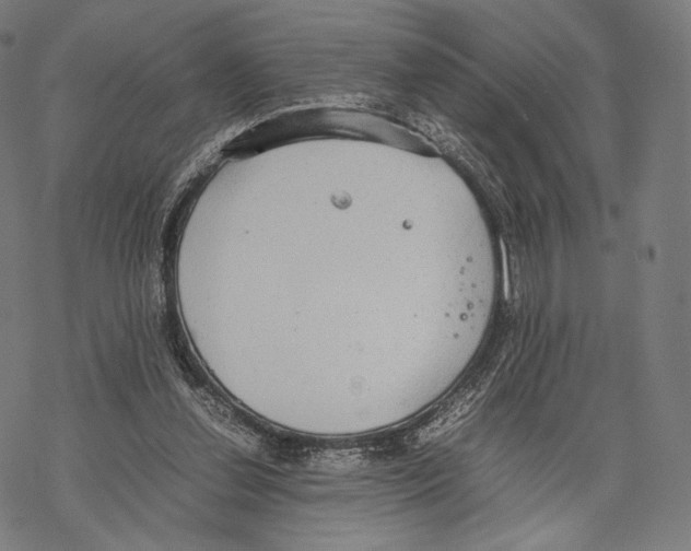 X0000067870252200605111807